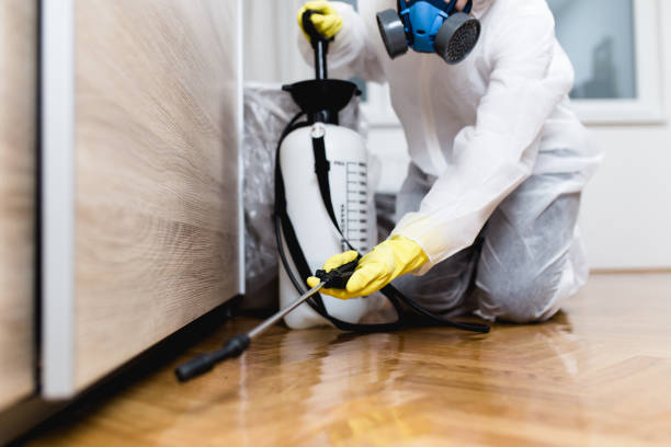 Best Pest Inspection Near Me  in West Brattleboro, VT