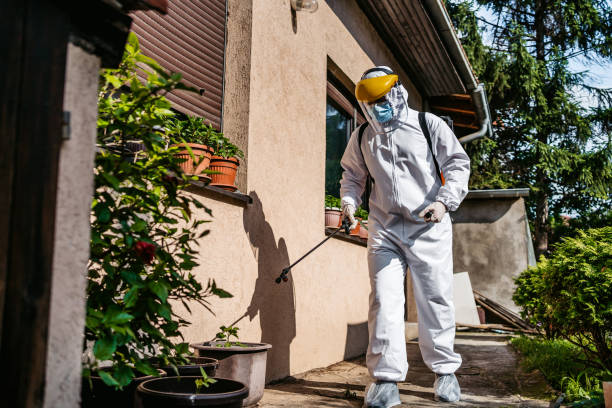 Best Pest Control for Businesses  in West Brattleboro, VT