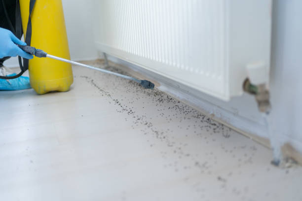 Best Commercial Pest Control Services  in West Brattleboro, VT